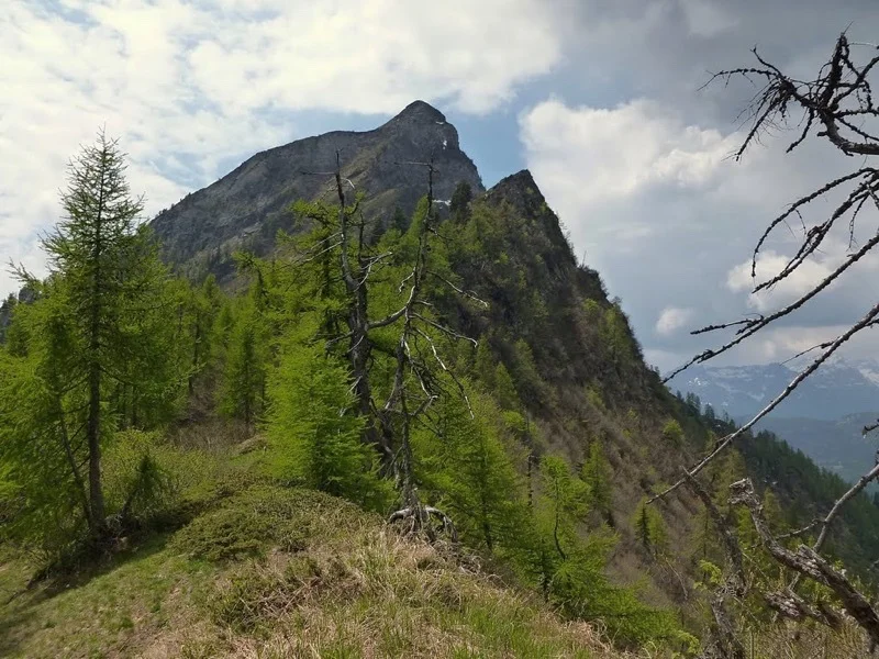 monte larone