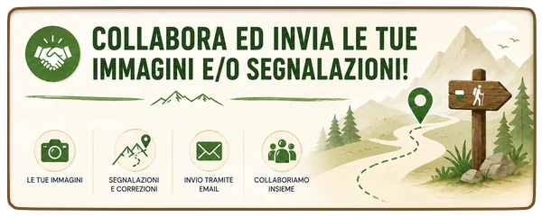 invia foto e segnalazioni