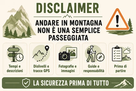 disclaimer