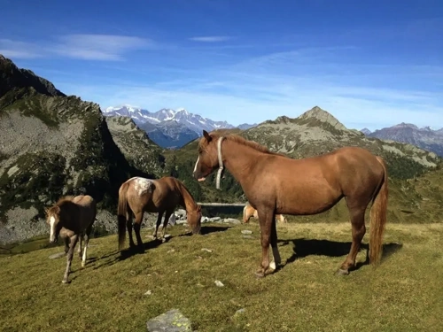 Valle Vigezzo